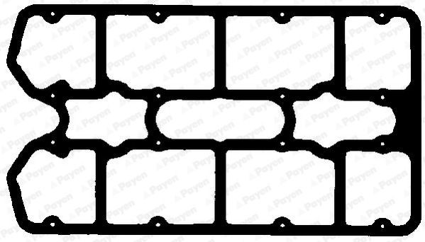 PAYEN Rocker cover gasket Article number: JN996 cheaply