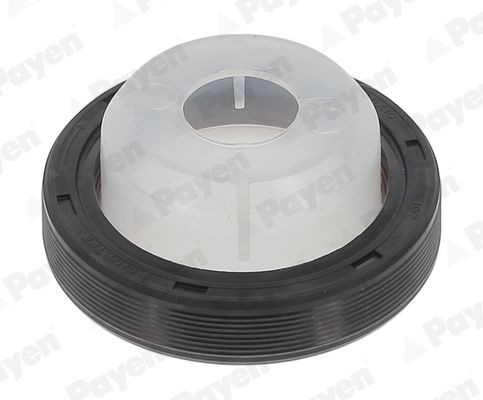 PAYEN Crankshaft seal Article number: NA5106 cheaply
