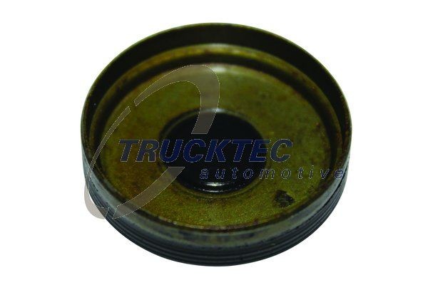 TRUCKTEC AUTOMOTIVE 02.10.086 Locking Cover, camshaft SPRINTER 318 CDI 4x4 (906.131, 906.133, 906.135, 906.231, 906.233... 184 PS Diesel 2018