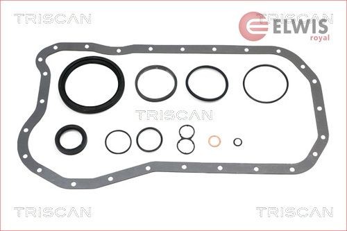 TRISCAN Crankcase gasket set Article number: 595-85143 cheaply
