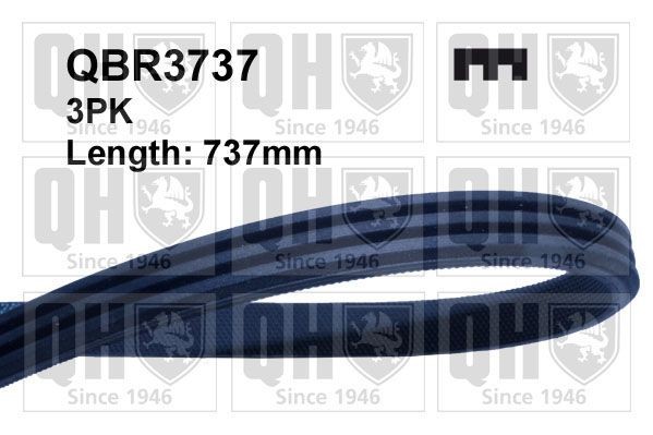 QUINTON HAZELL Serpentine belt Article number: QBR3737 cheaply