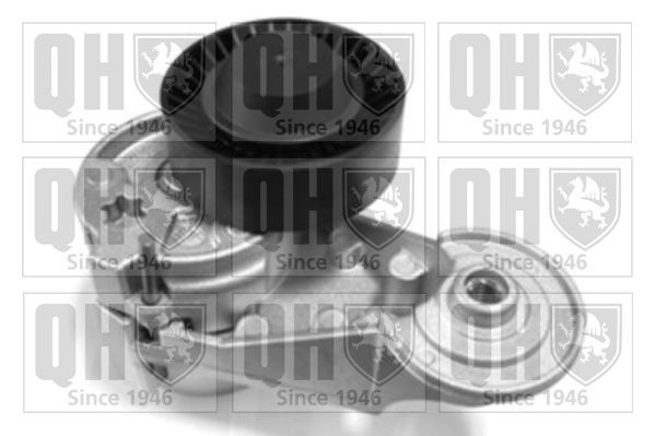 QUINTON HAZELL Tensioner Lever, v-ribbed belt Article number: QTA1263 cheaply