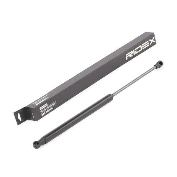 RIDEX Bagklapsdæmper Varenummer: 219G0356 billige