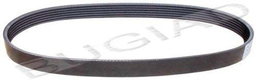 BUGIAD Serpentine belt Article number: BSP21327 cheaply