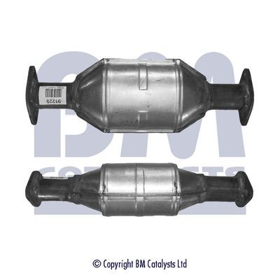BM CATALYSTS Catalytic converter Article number: BM91229 cheaply