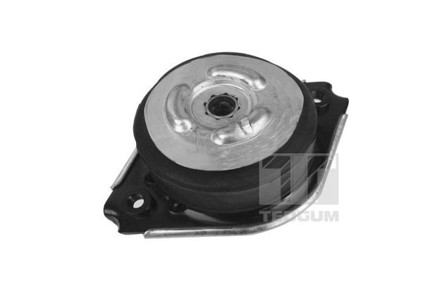 TEDGUM Motorophæng Varenummer: 00418536 billige