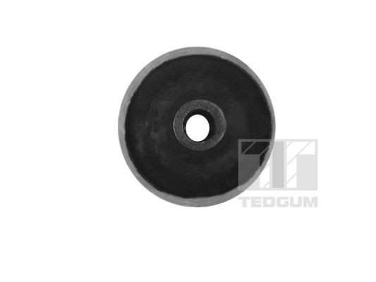 TEDGUM Hose, air supply Article number: 00503102 cheaply