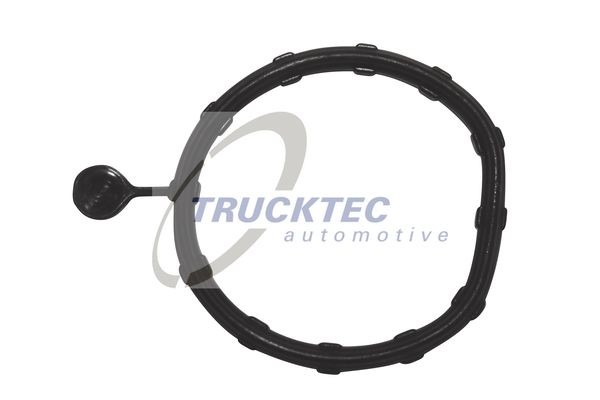TRUCKTEC AUTOMOTIVE Juntas, cajas agua Número de artículo: 02.19.346 a buen precio