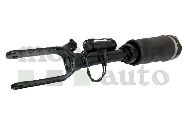 Montcada Air suspension strut Article number: 0296190 cheaply