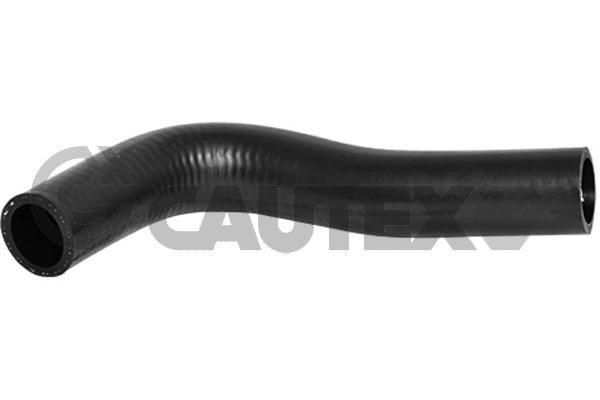 CAUTEX Radiator hose Article number: 066564 cheaply