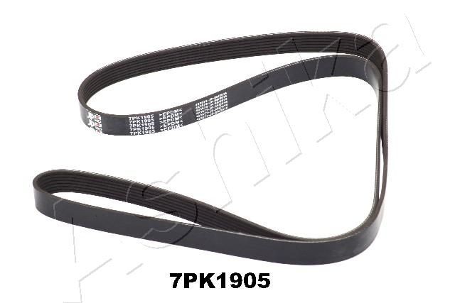 ASHIKA Serpentine belt Article number: 112-7PK1905 cheaply