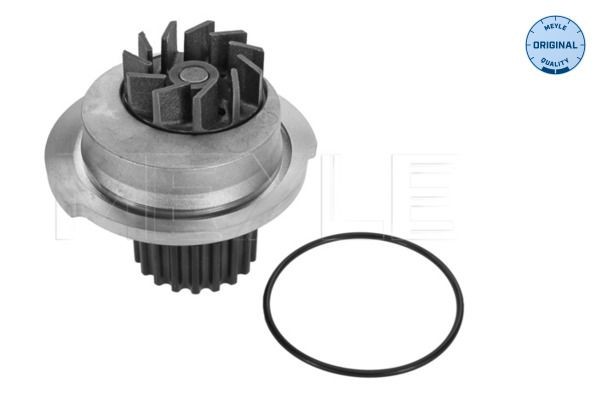 MEYLE Water pump Article number: 29-13 182 0001 cheaply