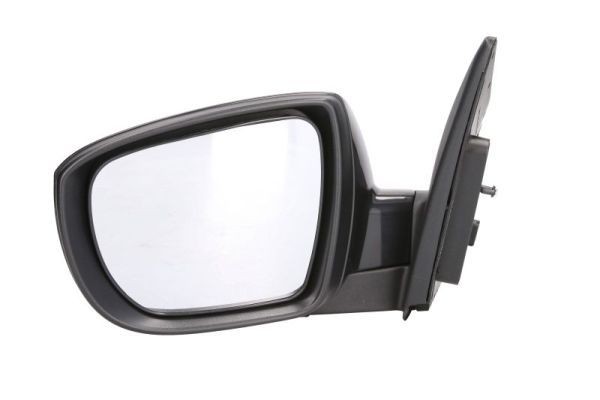 BLIC Wing mirror Article number: 5402-04-1502201P cheaply
