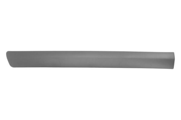 BLIC Door molding Article number: 5703-04-1301573P cheaply