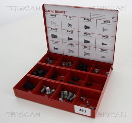 TRISCAN 8105 3704 Schrauben-Set