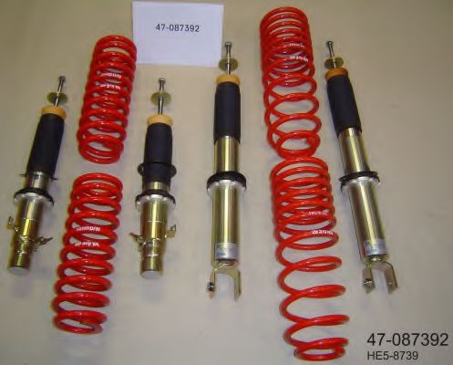 BILSTEIN Æassiikomplekt, vedrud / pehmendus - B14 PSS Artikli number: 47-087392 soodsalt