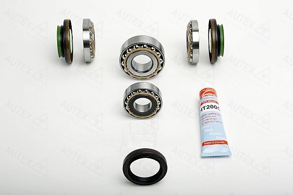 AUTEX 957029 Kit riparazione, Differenziale Serie 3 316i 1.6 122 CV Benzina 2011