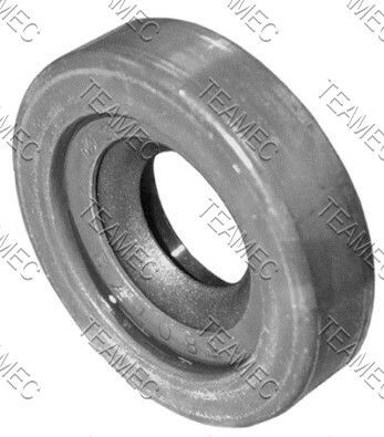 TEAMEC Τσιμούχα, άξονας συμπιεστή αριθμός Άρθρου: S13-1002 φθηνότερα