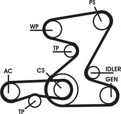CONTITECH Ķīļrievu siksnu komplekts raksta numurs: 5PK2030D1 lēti