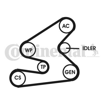 CONTITECH Komplet rebrastega jermena številka artikla: 6PK1623D1 poceni