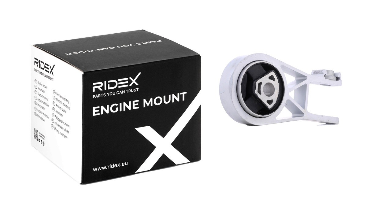 RIDEX Ulożenie motora číslo článku: 247E0260 lacno