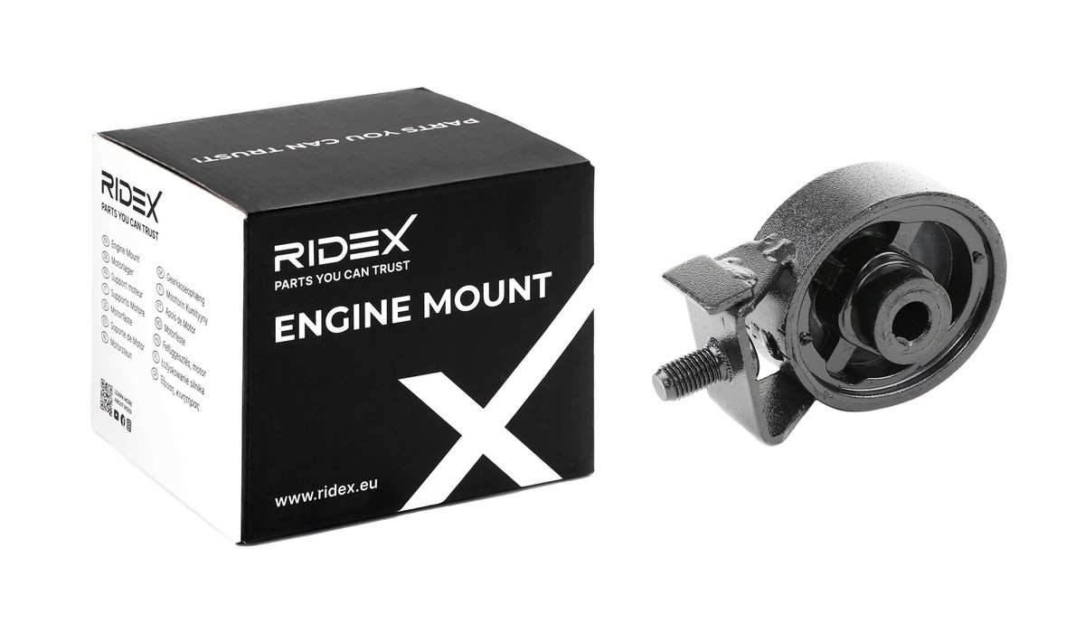 RIDEX Ulożenie motora číslo článku: 247E0130 lacno