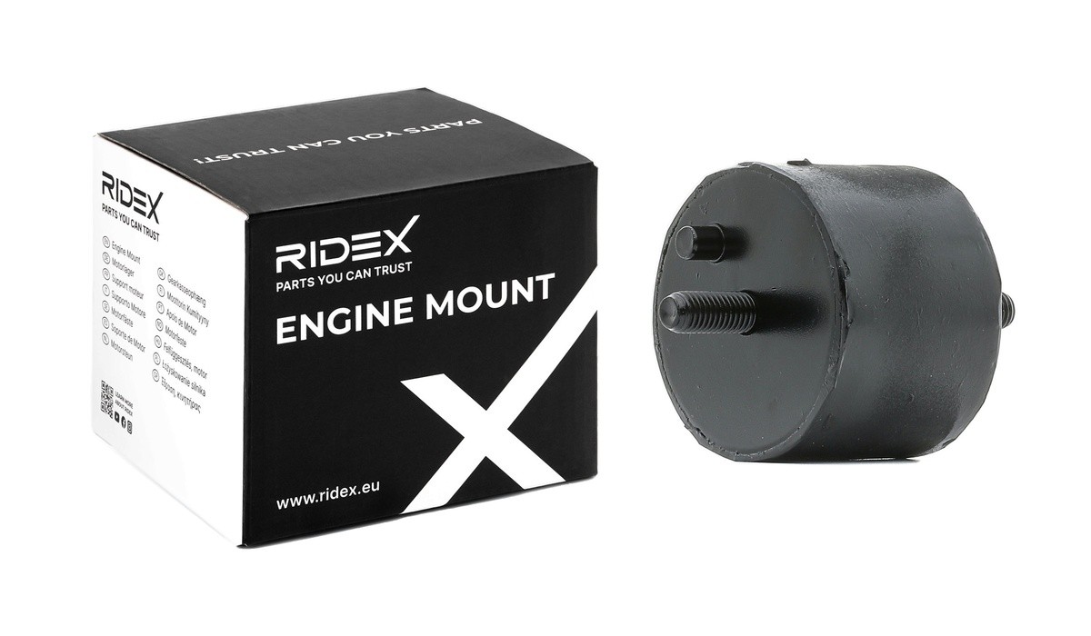 RIDEX Ulożenie motora číslo článku: 247E0141 lacno