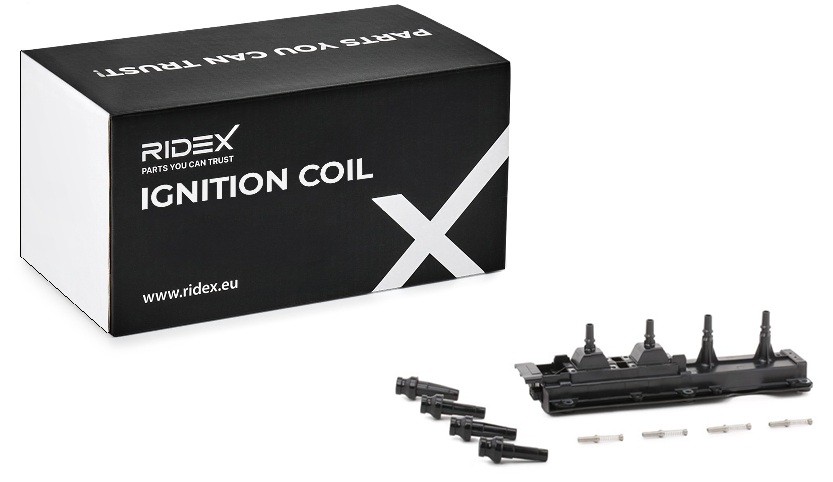 RIDEX Zündspule Artikelnummer: 689C0294 kaufen