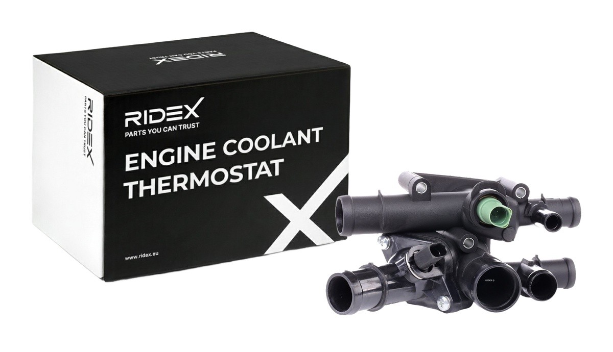 RIDEX Termostatas, aušinimo skystis prekės numeris: 316T0222 nebrangu