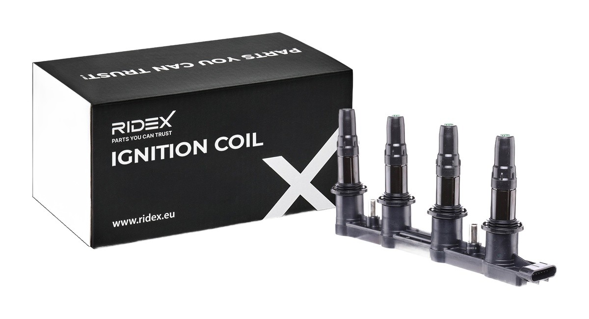 RIDEX Bobina d'accensione Numero articolo: 689C0310 poco costoso