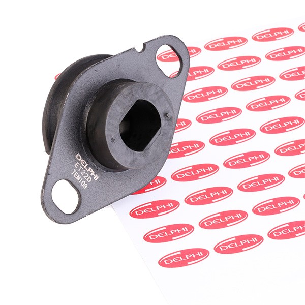 DELPHI Motorlager Artikelnummer: TEM109 kaufen