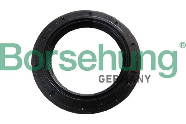 Borsehung Shaft Seal, manual transmission flange Article number: B18791 cheaply