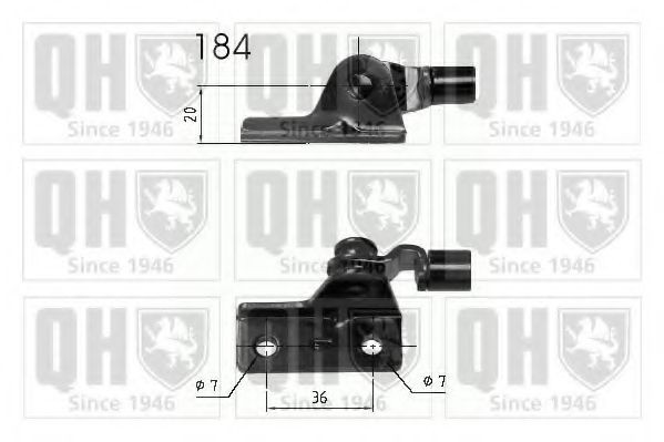 QUINTON HAZELL Tailgate strut Article number: 840209 cheaply