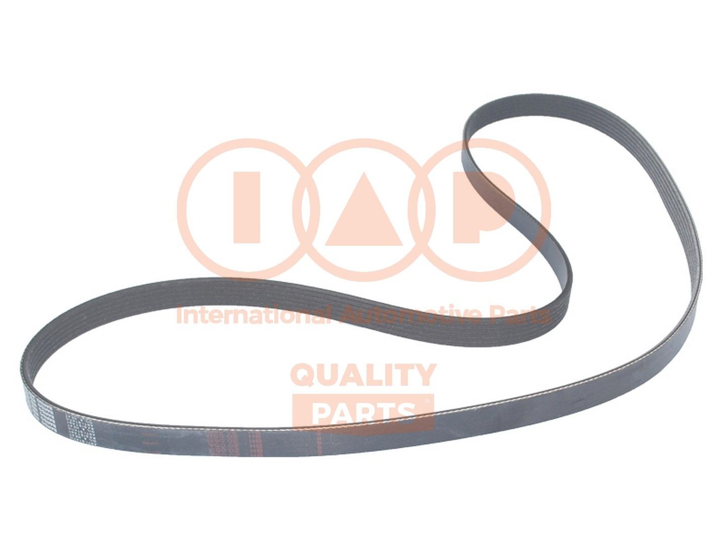 IAP QUALITY PARTS Ozubený klinový remeň číslo článku: 140-10050 lacno