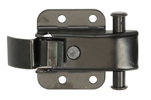 BLIC 6010-01-047431T Fermaporta SPRINTER 318 CDI 3.0 4x4 (906.631, 906.633, 906.635) 184 CV Diesel 2020