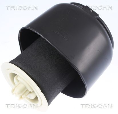 OEM Molla pneumatica 8720 11201 di TRISCAN