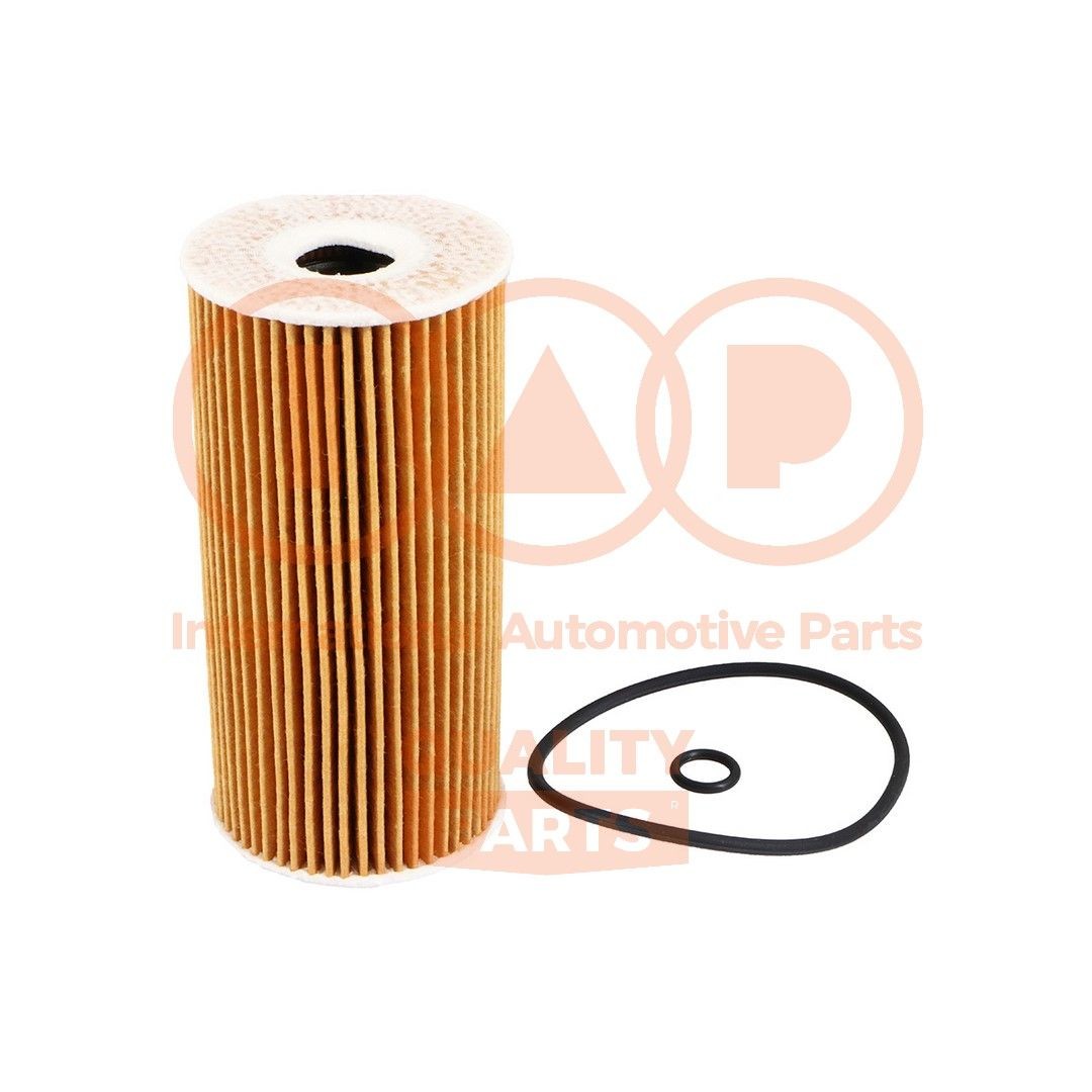 IAP QUALITY PARTS Filtr oleju Numer artykułu: 123-21084G niedrogo