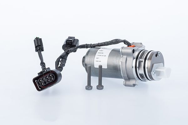 BorgWarner Pumpe, lamelkobling, firhjulstræk Varenummer: DS2001261 billige