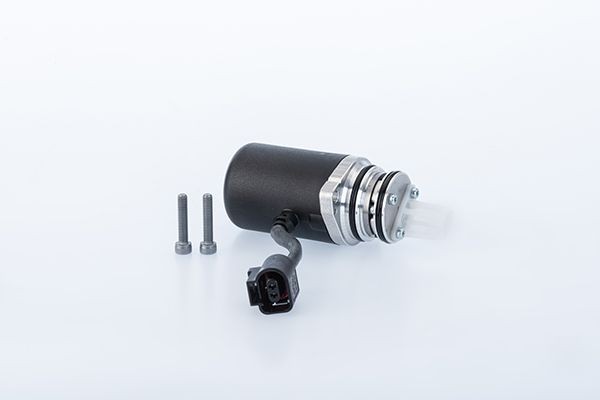 BorgWarner Pumpe, lamelkobling, firhjulstræk Varenummer: DS2010679 billige