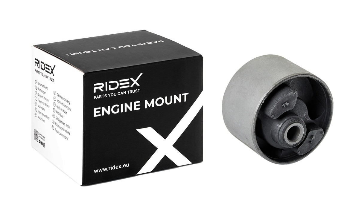 RIDEX Ulożenie motora číslo článku: 247E0470 lacno