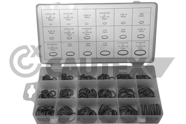 CAUTEX Kit tagliando Numero articolo: 751999 poco costoso