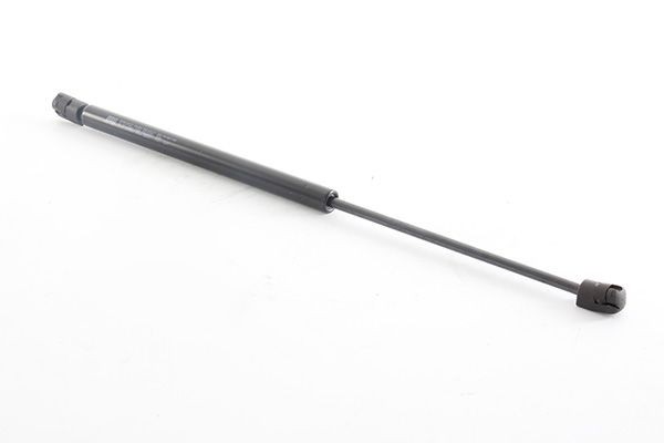 BSG BSG 60-109-048 Coulisse de chaîne de distribution Classe C C 350 CDI 3.0 (204.025) 231 CH Diesel 2014