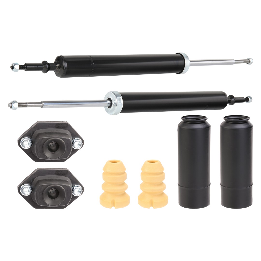 RIDEX Æassiikomplekt, amordid Artikli number: 1185S0006 soodsalt