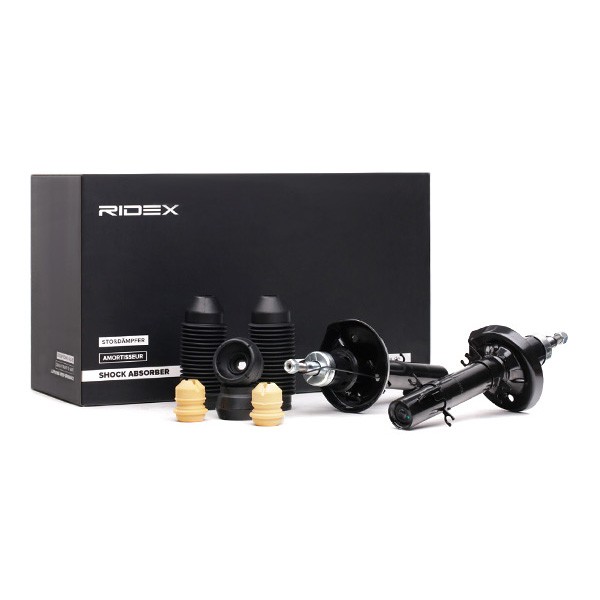 RIDEX Æassiikomplekt, amordid Artikli number: 1185S0007 soodsalt