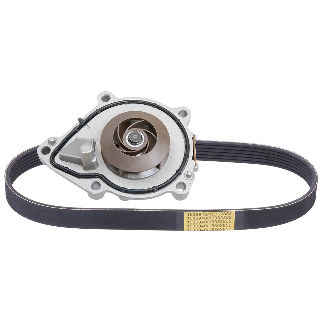 RIDEX Pompa apa + Set curea transmisie cu caneluri număr articol: 4172P0067 ieftin