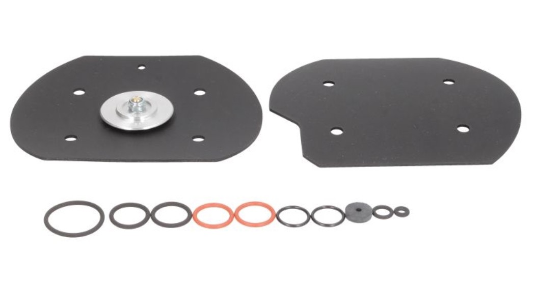 KME 823 000 001 Kit revisione riduttore GPL Serie 3 316d 2.0 116 CV Diesel 2011