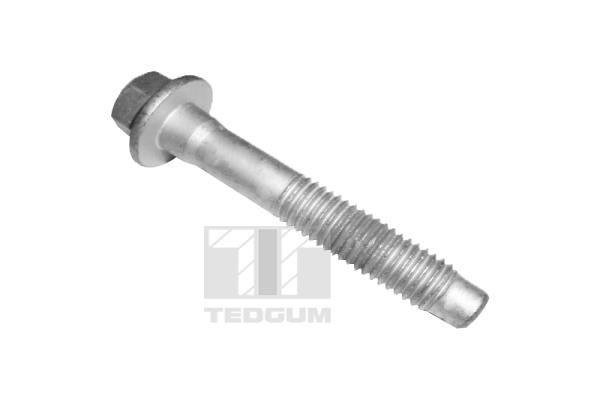 TEDGUM Schraube, Querlenker Artikelnummer: TED46565 kaufen