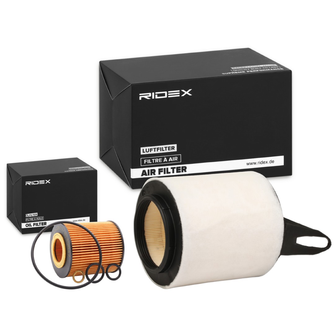RIDEX Filter kit Varenummer: 4055F1210 billige