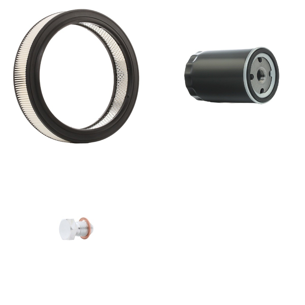 RIDEX Filtrs-Komplekts raksta numurs: 4055F1650 lēti