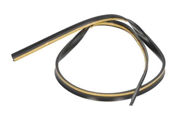 BLIC Guarnizione, Parabrezza Numero articolo: 5703-04-0063102P poco costoso